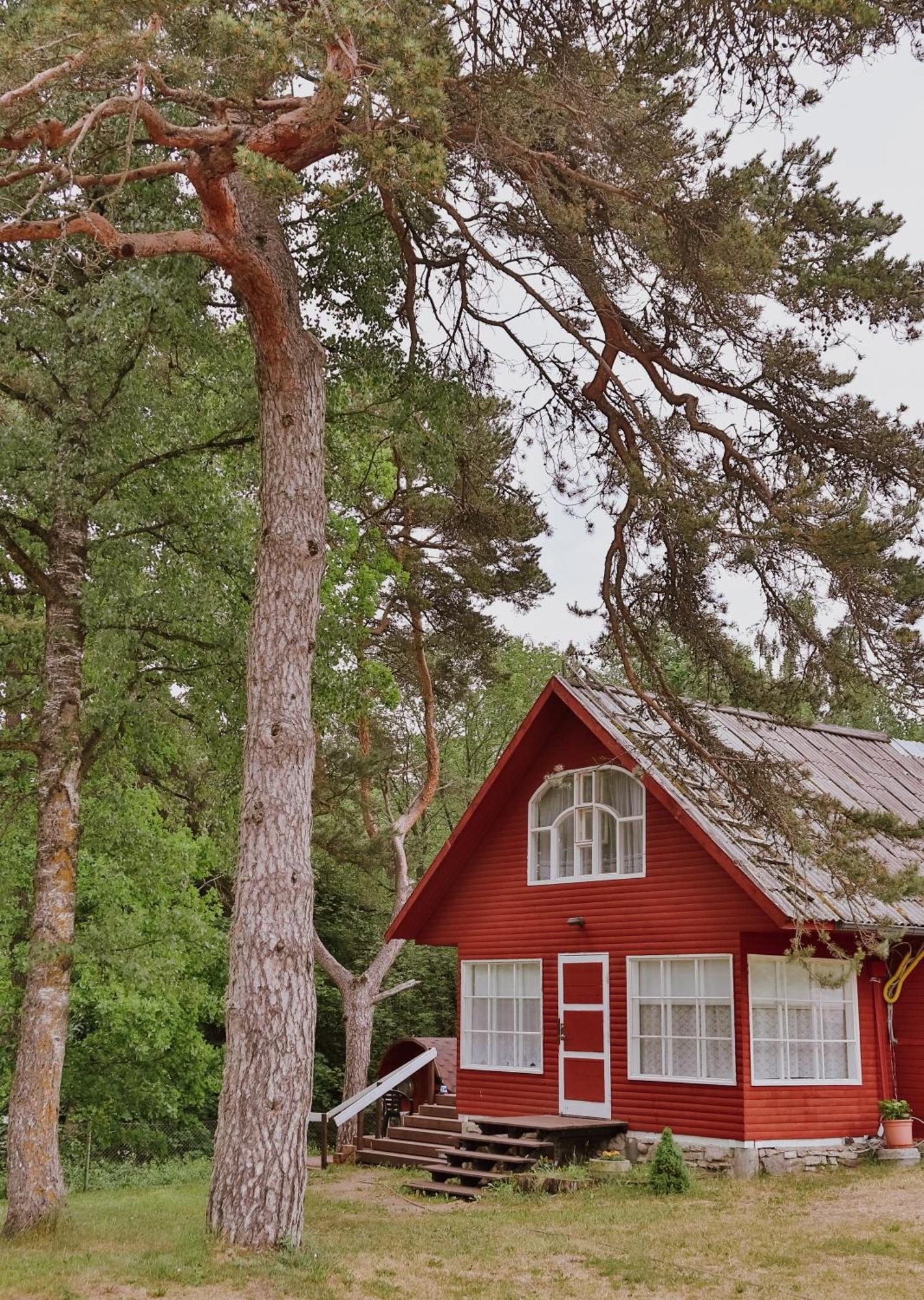 Toolse Puhkekuela Hotel Eksteriør billede